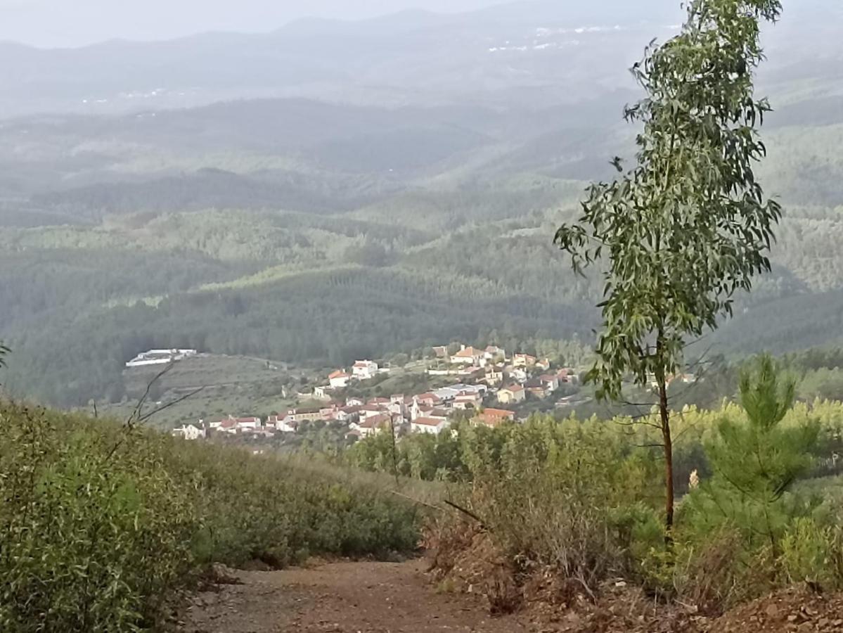 Apartmán Casa Xara Proença-a-Nova Exteriér fotografie